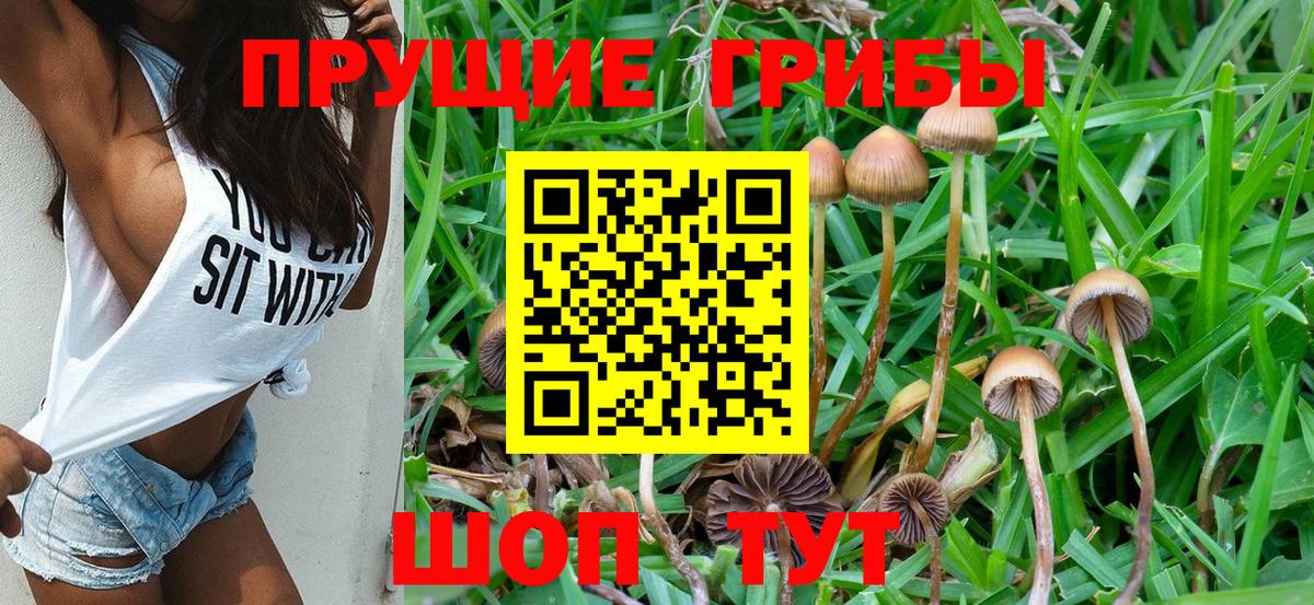 Протвино  Галлюциногенные грибы мицелий  Вход с VPN 