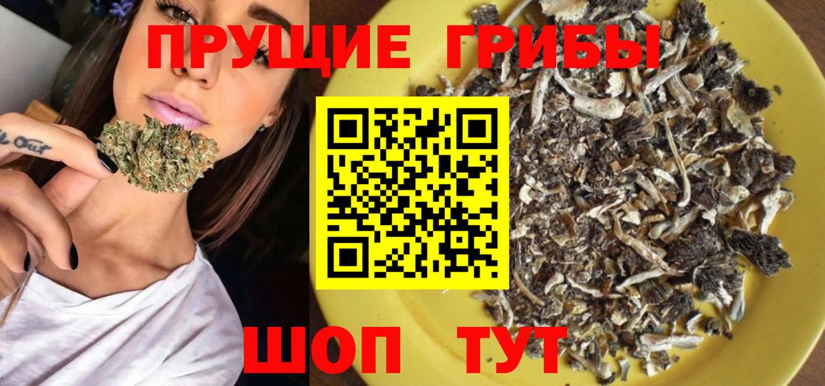 Псилоцибиновые грибы прущие грибы Протвино